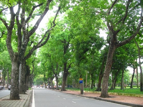 4. Đường Hoàng Diệu và đường Phan Đình Phùng Hai con đường đẹp nổi tiếng tại Hà Nội với những hàng cây dài hun hút. Con đường luôn tạo cho những ai lưu thông qua đây cảm giác yên bình, trong lành, không quá ồn ào và có background rất đẹp.